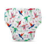 COLIBRI BIRDY